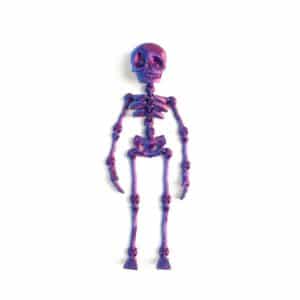 Skeleton Toy with Flexible Joints