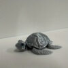 Realistic Eye Sea Turtle