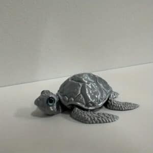 Realistic Eye Sea Turtle