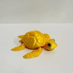 Realistic Eyed Sea Turtle