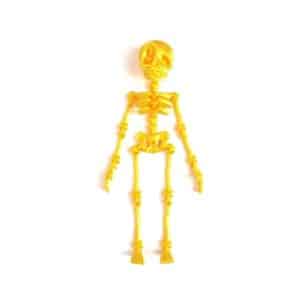 Movable Joint Skeleton