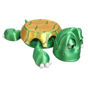 Kids Turtle Toy