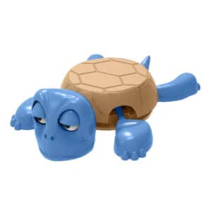 Personalized Turtle