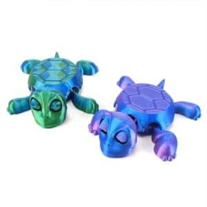 Customized Turtle