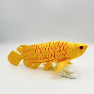 Mystical Arowana Toy