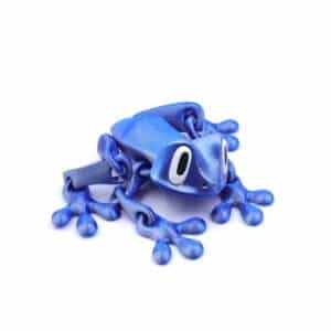 Personalized Frog