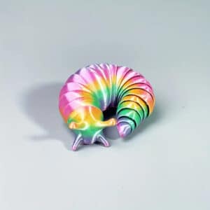 Rainbow Caterpillar Toy