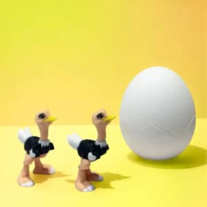 Ostrich with Egg