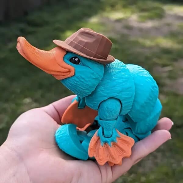 Customized Platypus