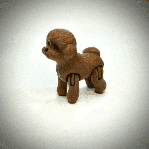 Customized Poodle Dog