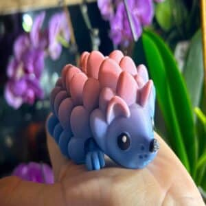 Cute Rainbow Hedgehog