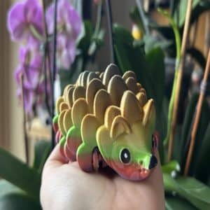 Multicolor Hedgehog