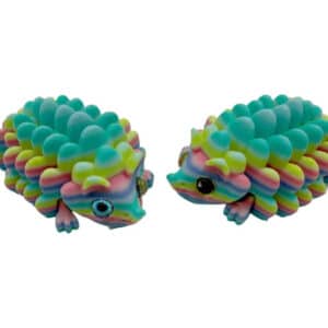 Rainbow Colored Hedgehog