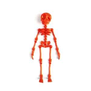 Custom Skeleton Toy