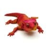 Unique Bearded Lizard Toy for Kids with Articulated Joints - Image 2