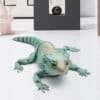 Unique Bearded Lizard