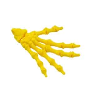 Hand Skeleton Fun