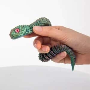 Printed Snake Toy