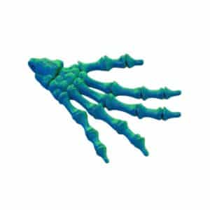 Customized Skeleton Hand