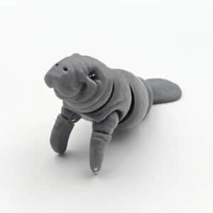 Expressive Eyes Manatee