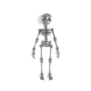 Customizable Skeleton