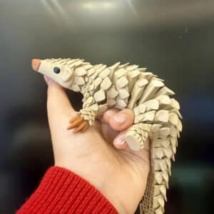 3D Printed Articulated Hedgehog