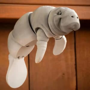 Manatee with Expressive Eyes