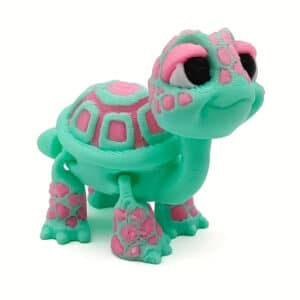 Colorful Turtle