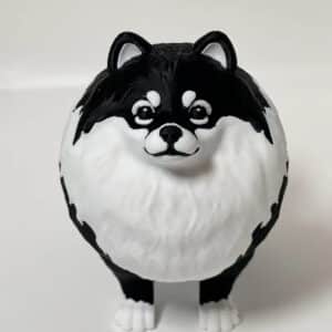 Pomeranian Dog