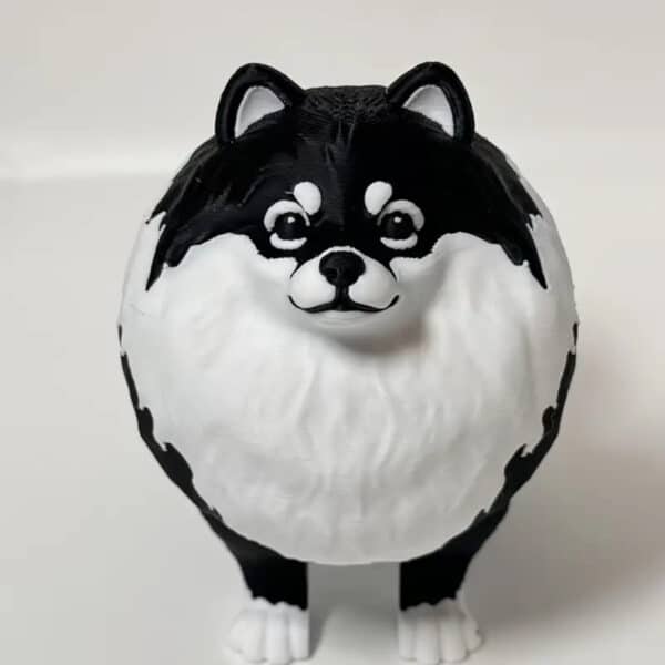 Pomeranian Dog