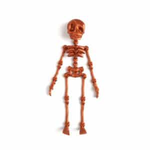 Movable Interactive Skeleton Toy