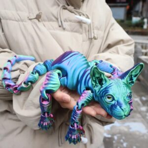Personalized 3D Cat