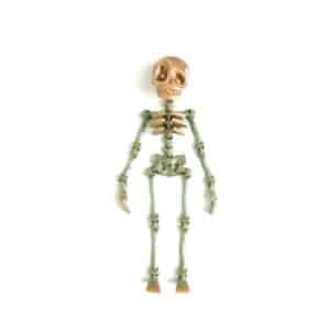 Unique Skeleton Toy