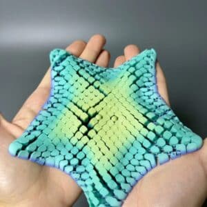 Customized Starfish Toy