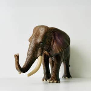Brown Elephant