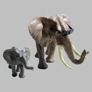 Elephant Father Son