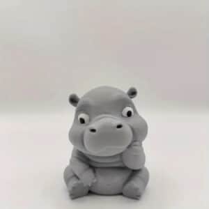 Meditation Hippo
