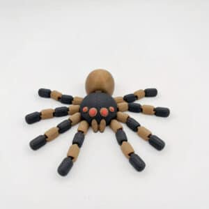 Creative Spider