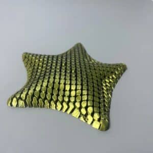 3D Printed Starfish