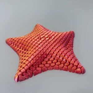 Custom Starfish Toy