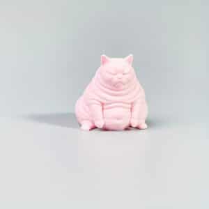 Chubby Cat