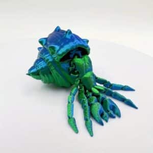 Vibrant Hermit Crab