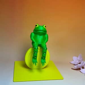 3D Printed Hanging Frog