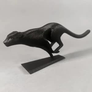 Running Black Cat