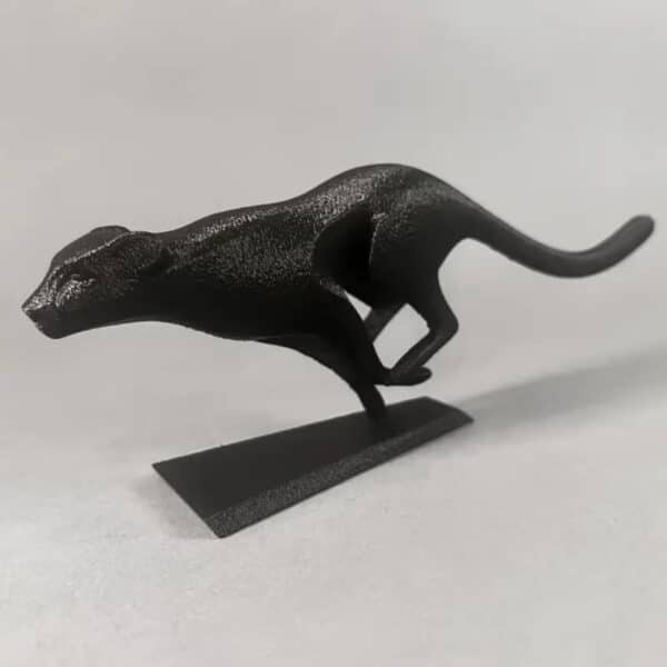 Running Black Cat