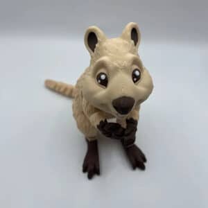 Short Tailed Quokka