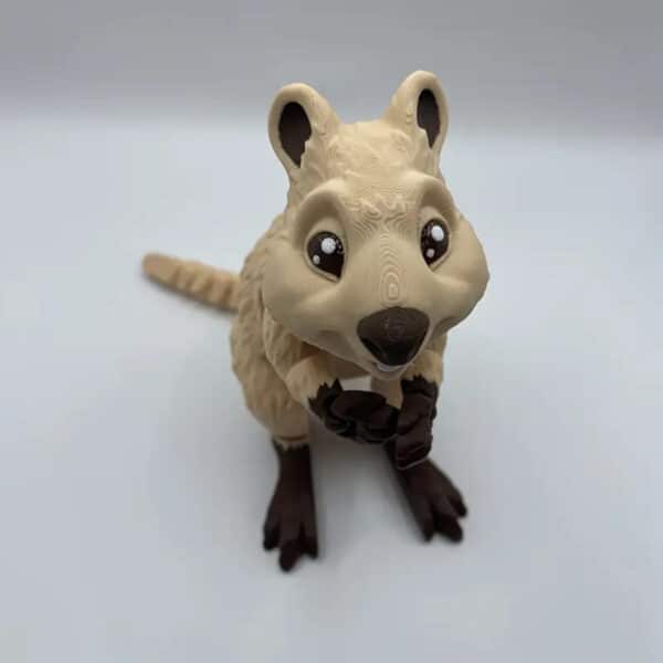 Short Tailed Quokka