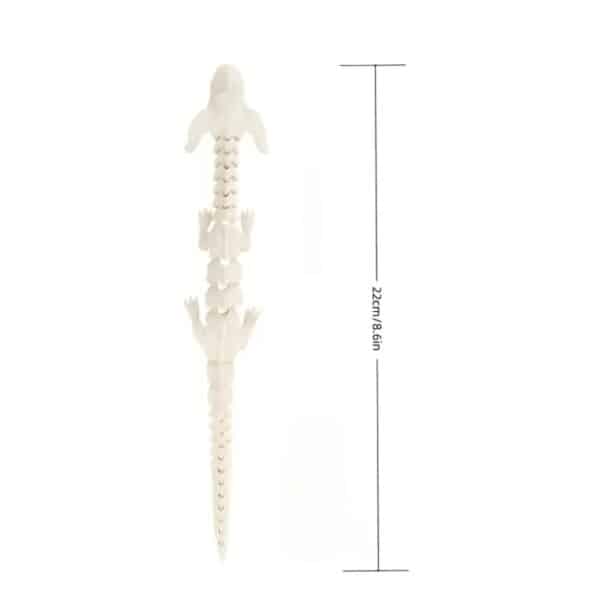 3D Printed Customizable Lucky Dragon Dog Toy for Children's - Image 4
