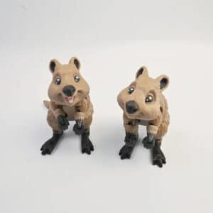 Articulated Kangaroo