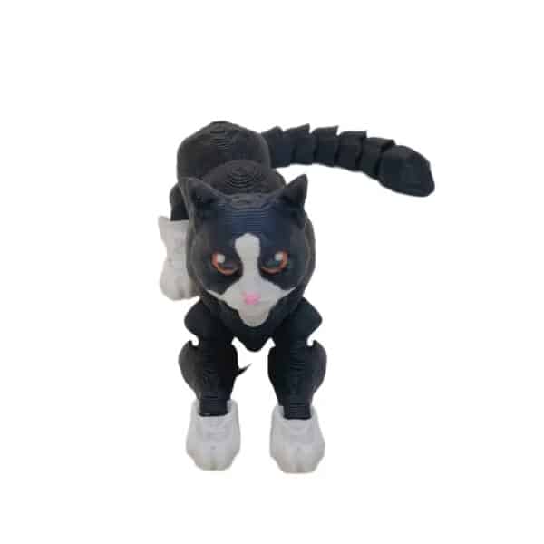 Multi Joint Cat